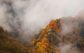 霜降 | 天上寒霜降，人間秋色深縮略圖